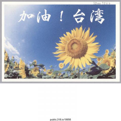 19956