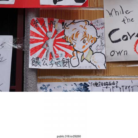 29260