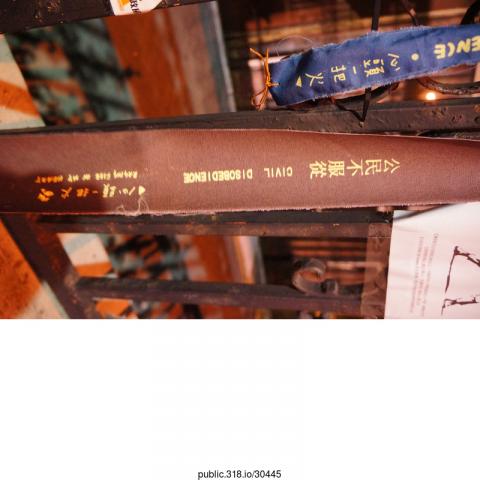 30445