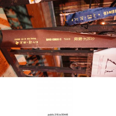 30446