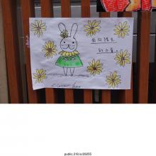 29255
